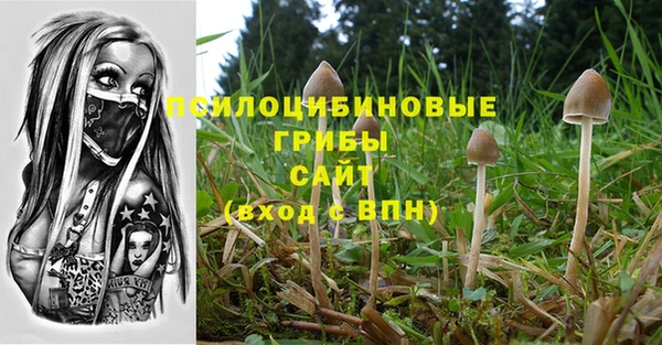 spice Алзамай