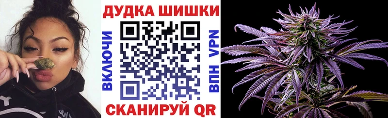 Шишки марихуана семена Поронайск